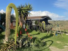 Tiny House Jorgina details