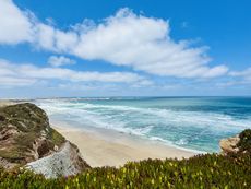 Tiny Houses und Surf Lodges im Da Silva Surfcamp