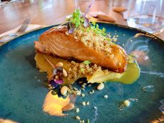 Surfcamp Deluxe – Retreat in Portugal